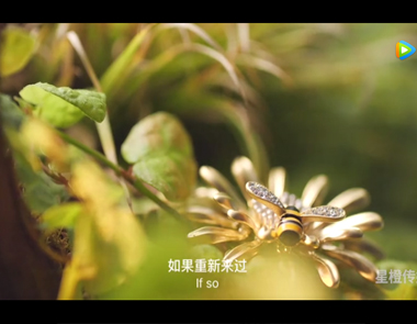 星橙传媒静物视频